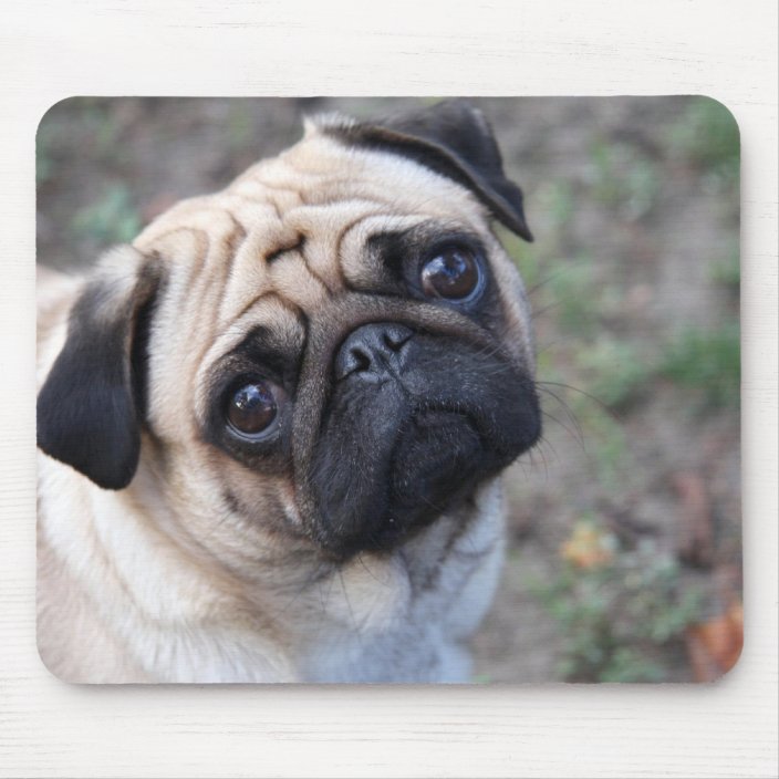 PUG MOUSE PAD