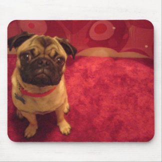 Pug Mousepad Machi