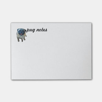 Pug Notes