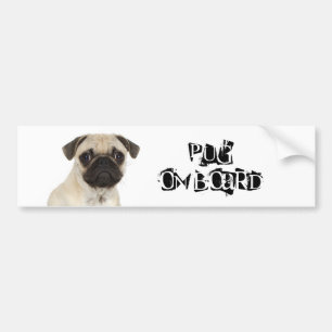 Pug on Board Bumper Sticker