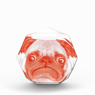 PUG_orange3.png Acrylic Award