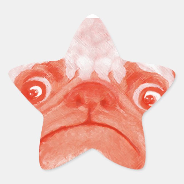 PUG_orange3.png Star Sticker (Front)