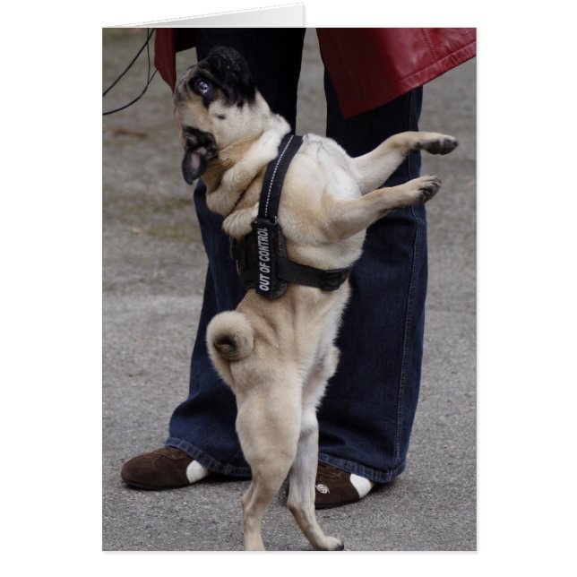 Pug Out Of Control Cards (Front)