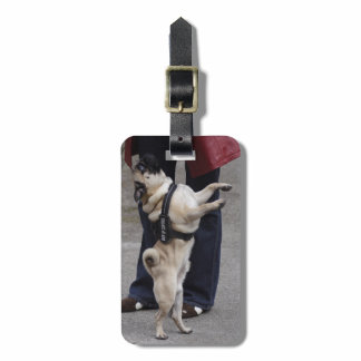 Pug Out Of Control Luggage Tag