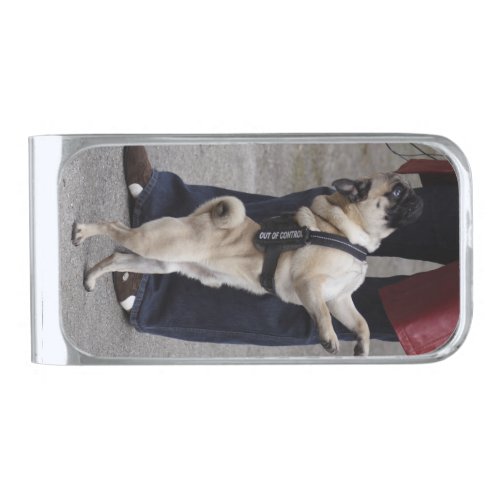 Pug Out Of Control Silver Finish Money Clip