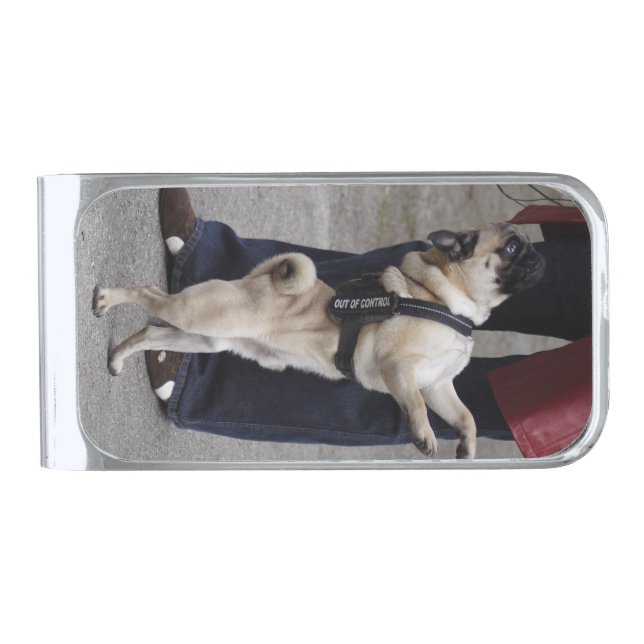 Pug Out Of Control Silver Finish Money Clip (Front)