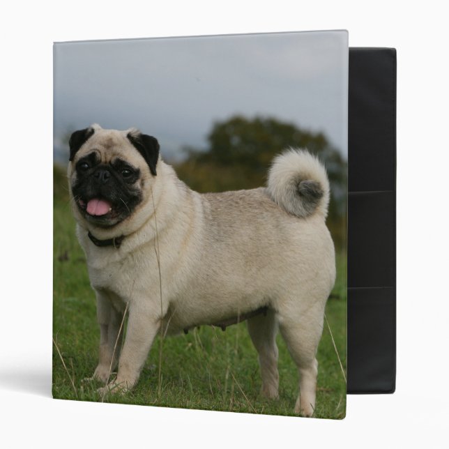 Pug Panting Binder (Front/Inside)