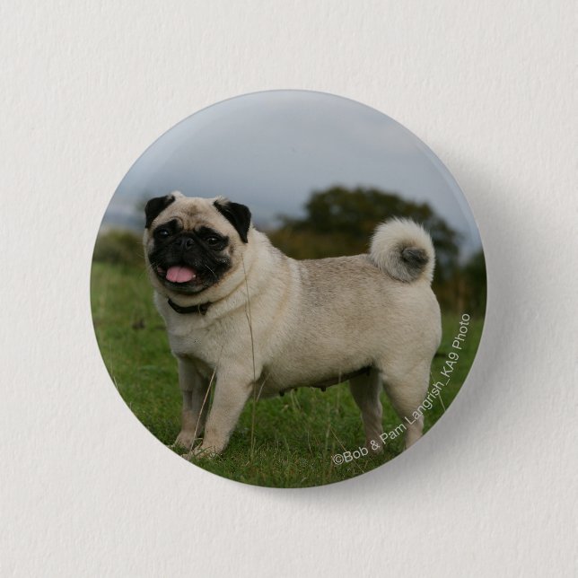 Pug Panting Button (Front)