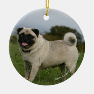 Pug Panting Ceramic Ornament