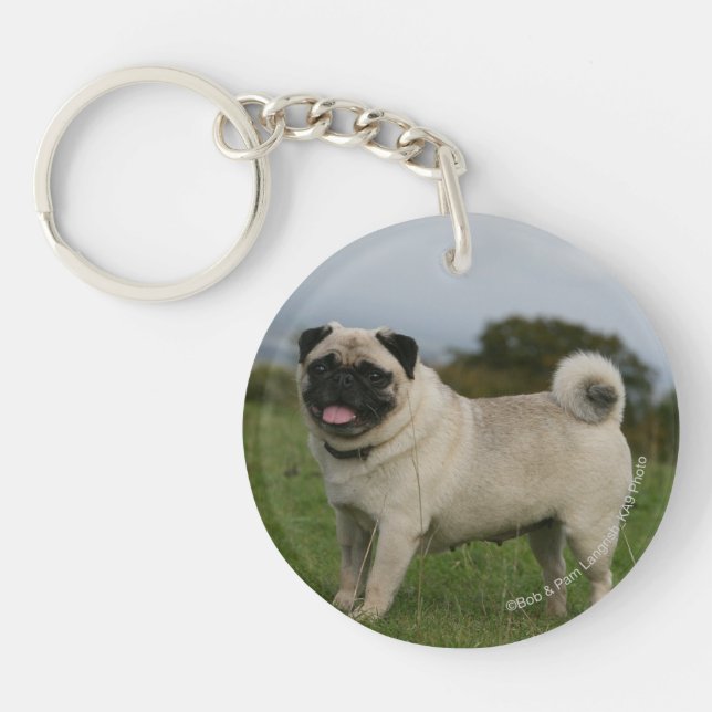 Pug Panting Keychain (Front)