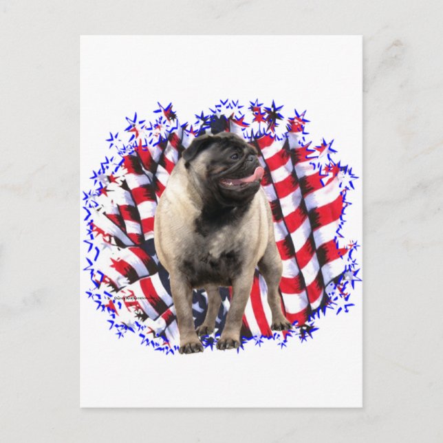 Pug Patriot Postcard (Front)