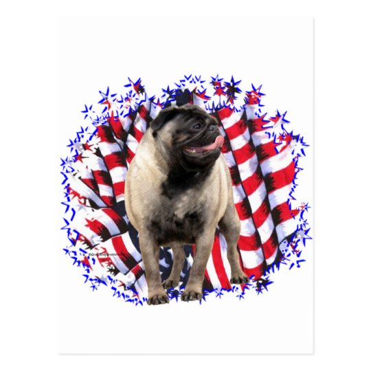 Pug Patriot Postcard