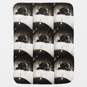 pug peeking in bw baby blanket