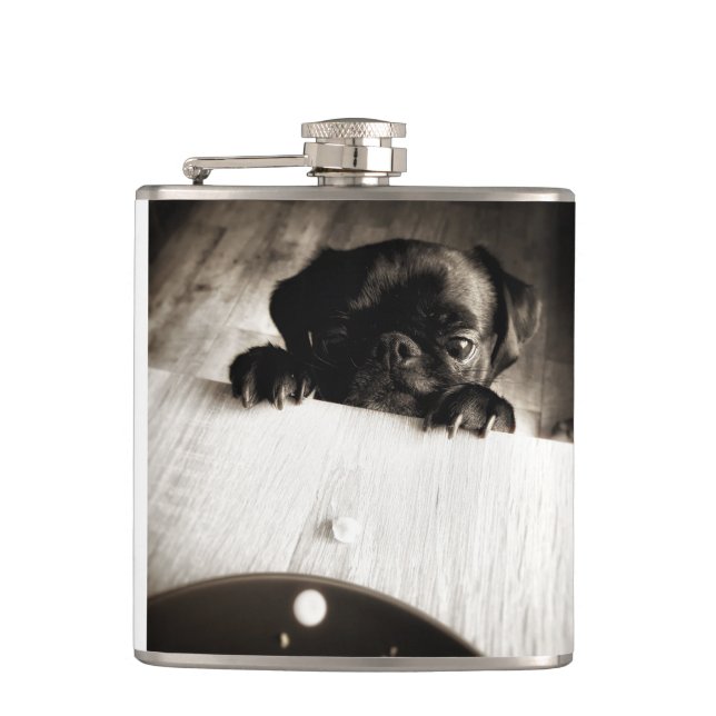 pug peeking in bw flask (Front)