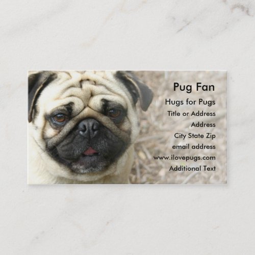 Pug Photo Business Card