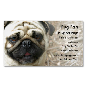 Pug Photo - Magnet Business Card