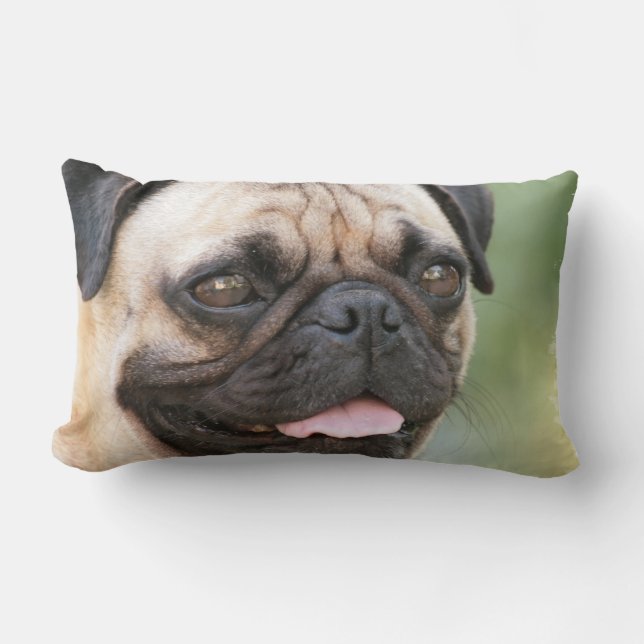 Pug Pillow (Front)
