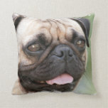 Pug Pillow