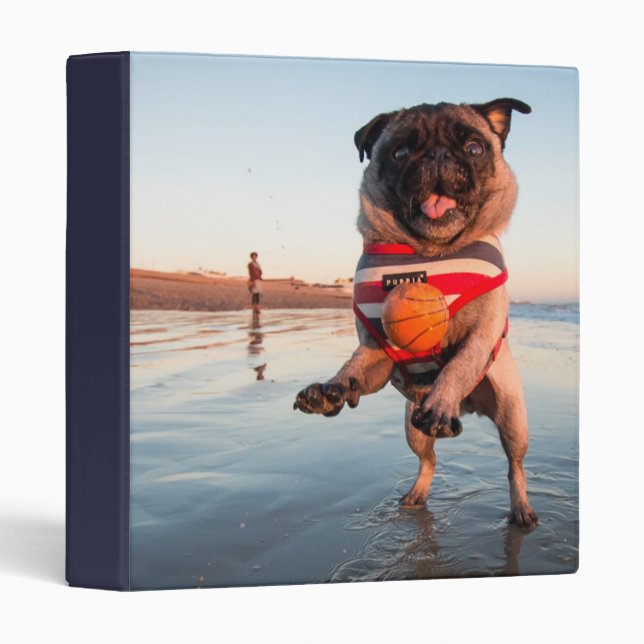 Pug Playing Ball on Beach 3 Ring Binder (Front/Spine)