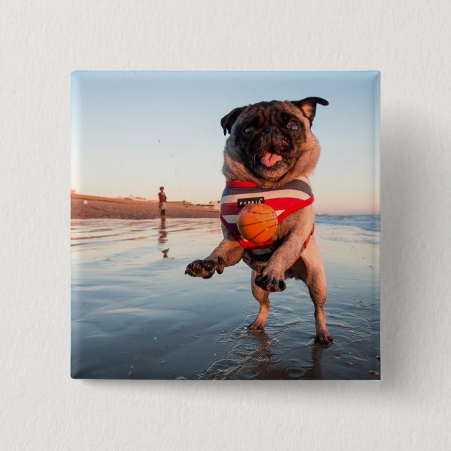 Pug Playing Ball on Beach Button (Front)