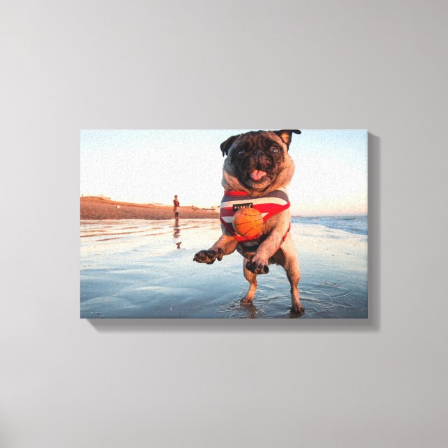 Pug Playing Ball on Beach Canvas Print (Front)