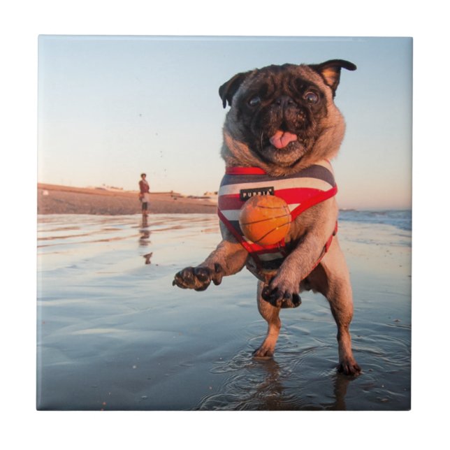 Pug Playing Ball on Beach Ceramic Tile (Front)