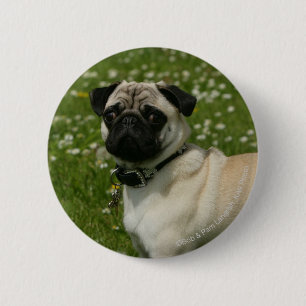 Pug Playing in Flowers Pinback Button
