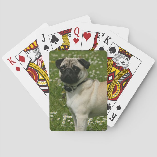 Pug Playing in Flowers Poker Cards (Back)