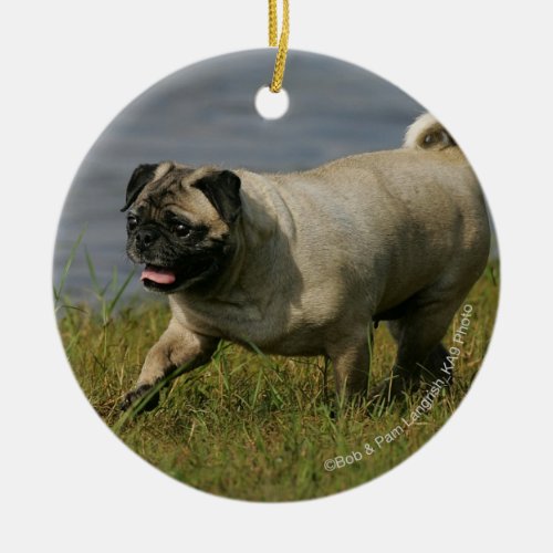 Pug Playing Near Water Ceramic Ornament