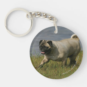 Pug Playing Near Water Keychain