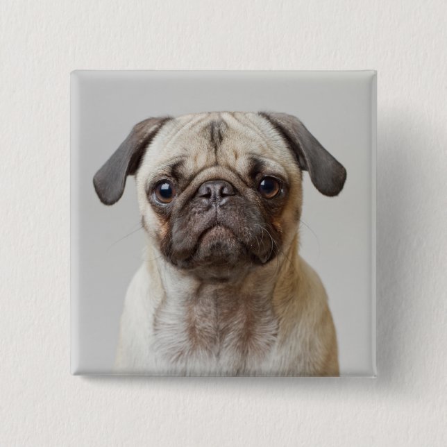 Pug Portrait Button (Front)