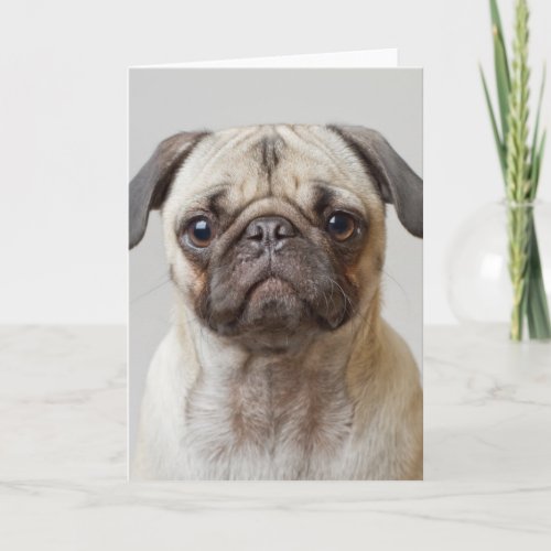 Pug Portrait Card