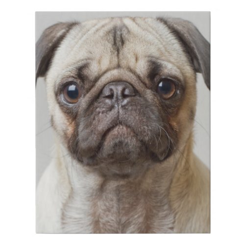 Pug Portrait Faux Canvas Print