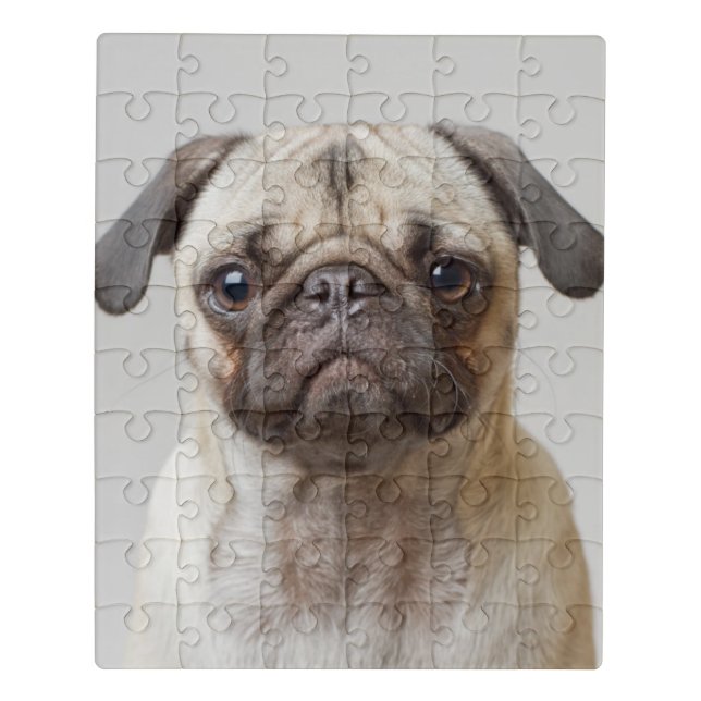 Pug Portrait Jigsaw Puzzle (Puzzle Vertical)