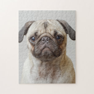 Pug Portrait Jigsaw Puzzle