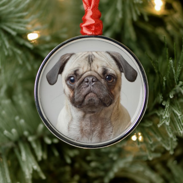 Pug Portrait Metal Ornament (Tree)