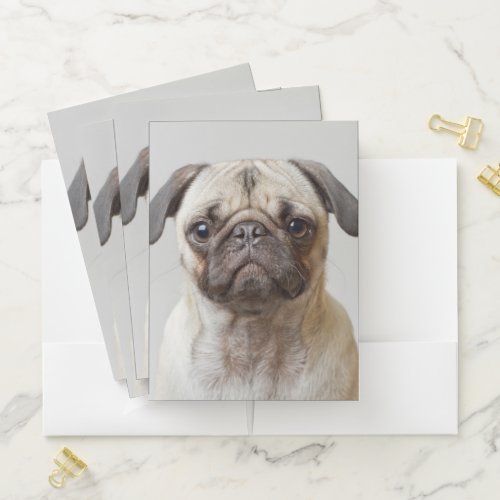 Pug Portrait Pocket Folder