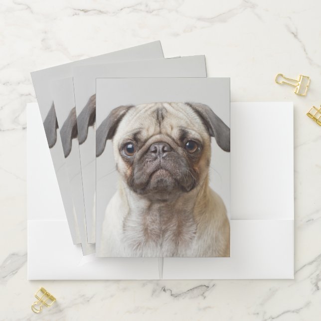 Pug Portrait Pocket Folder (In Situ)