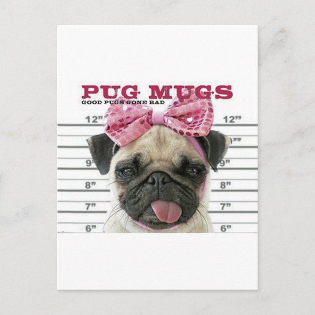 Pug Postcard (Front)
