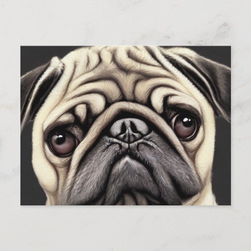 Pug Postcard