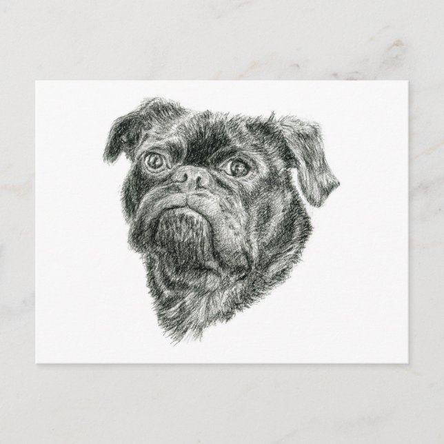 Pug Postcard (Front)