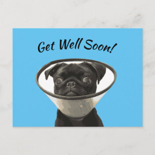 Pug Postcard