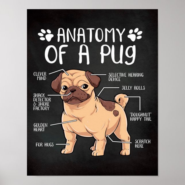  pug poster (Front)
