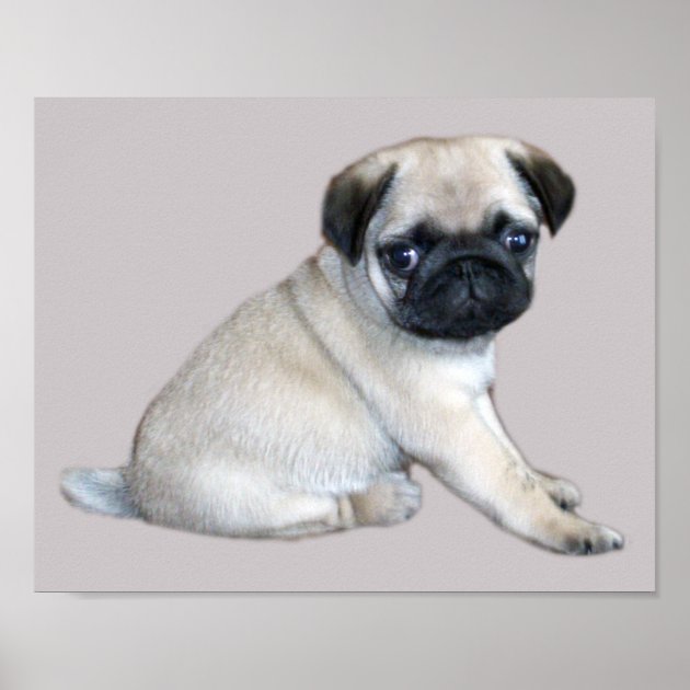 pug template alter