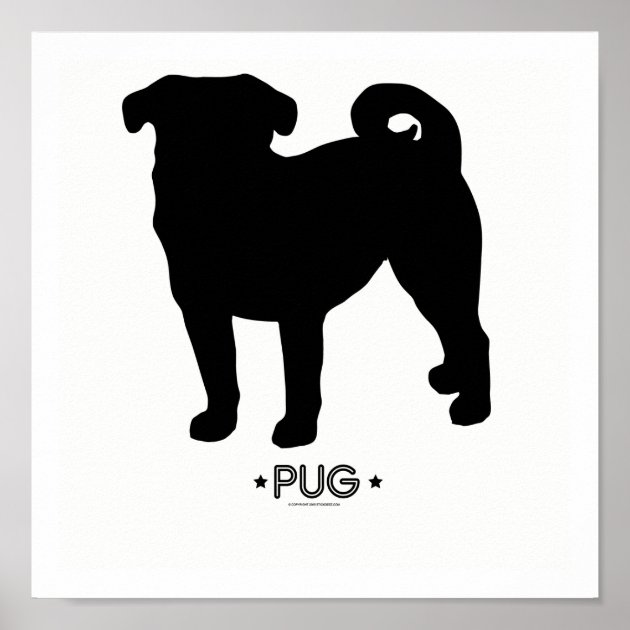 pug template boilerplate