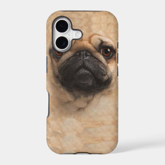 pug pugs face iphone 5 cover case