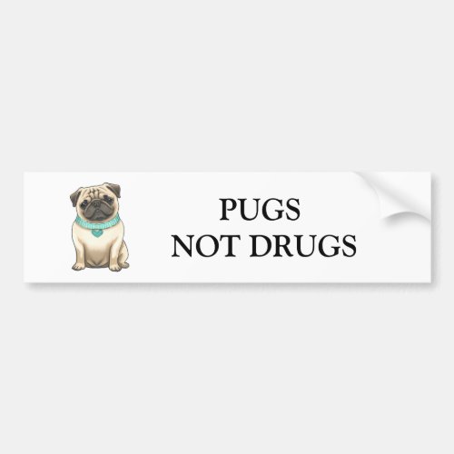 Pug PUGS NOT DRUGS custom bumper sticker