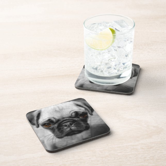 Pug Pup Beverage Coaster (Right Side)