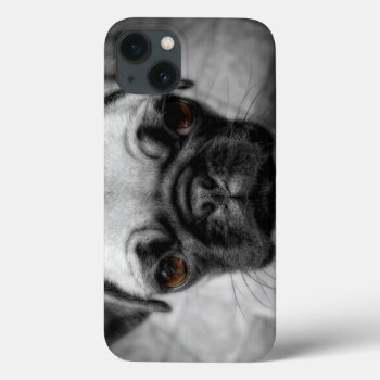 Pug Pup Iphone 13 Case by Wilderzoo at Zazzle