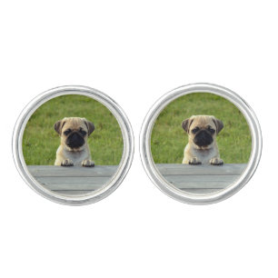 Pug Pup Cufflinks